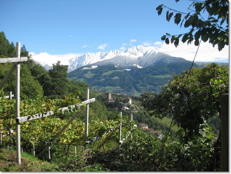 Algund2 (27).jpg